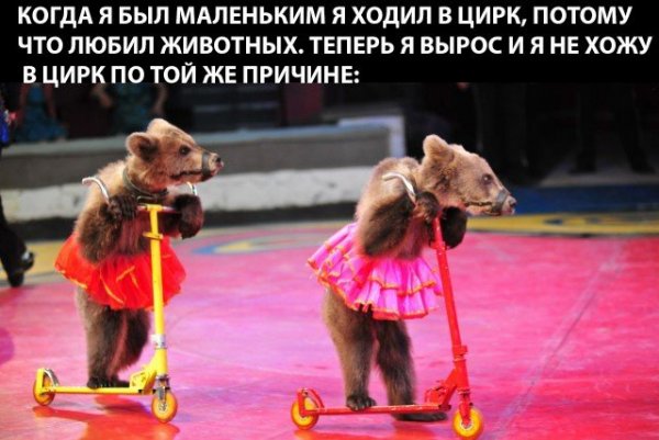 Ходите в цирк