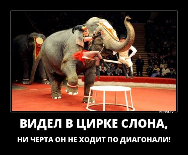 Шутки про циркачей