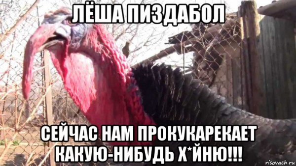 Индюк прикол