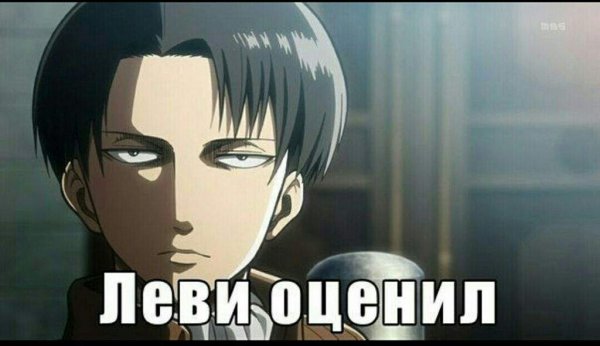 Капрал Леви мемы