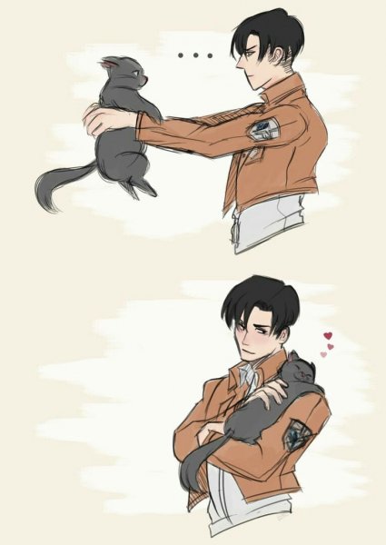 Леви Аккерман кот