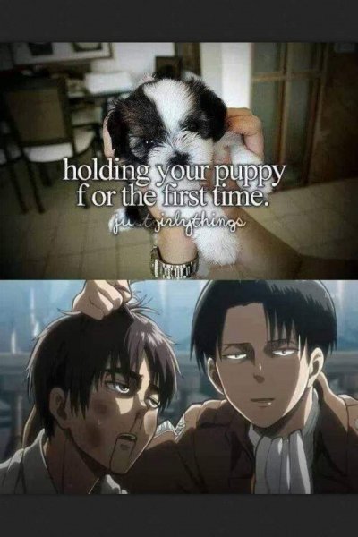 Леви Аккерман смешной