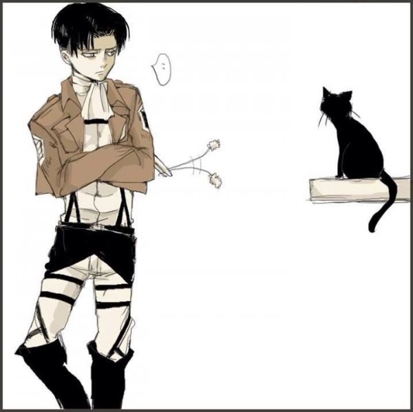 Юнбум и Леви