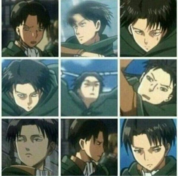 Леви Аккерман маленький