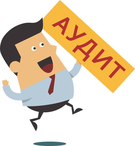 Внутренний аудитор