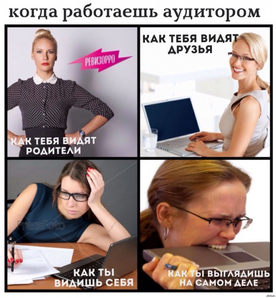 Аудитор юмор