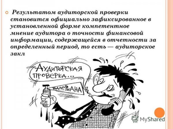 Анекдоты про аудиторов