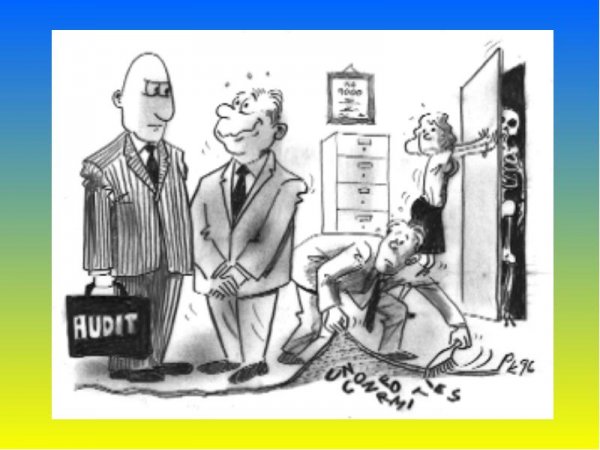 Аудитор карикатура
