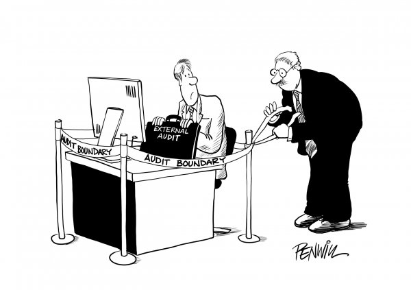 Аудитор карикатура