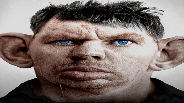 Упоротый кот