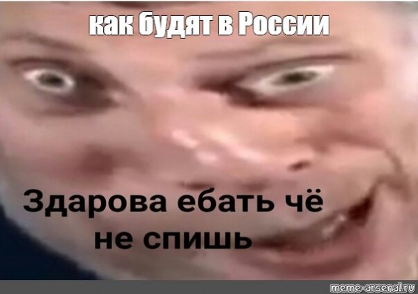Кот бодибилдер