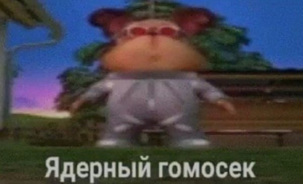 Кошка в хлебе
