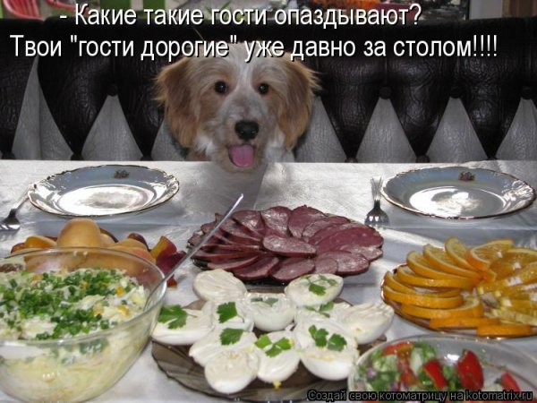 Приходите в гости на обед