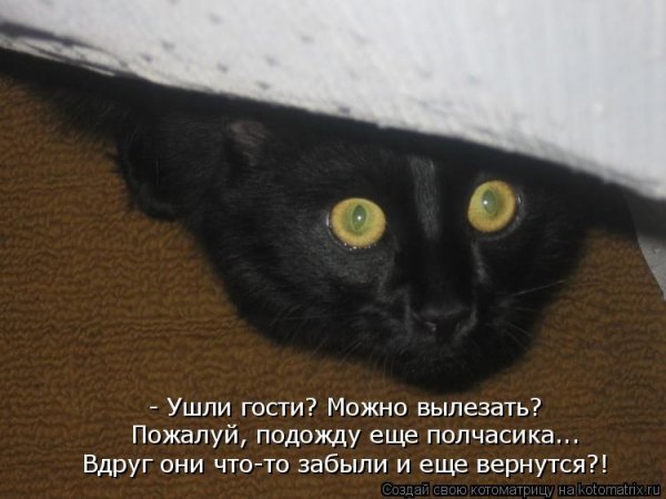 Гости уходят