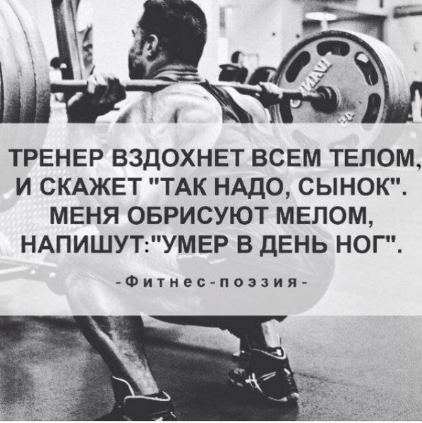 Высказывания про тренера