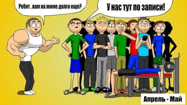 Смешные картинки про тренажерный зал