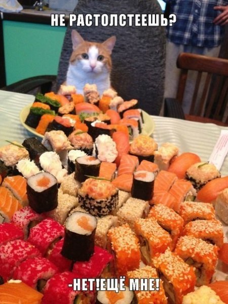 Суши роллы юмор