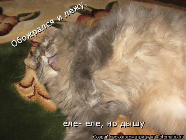 Объелась и лежу