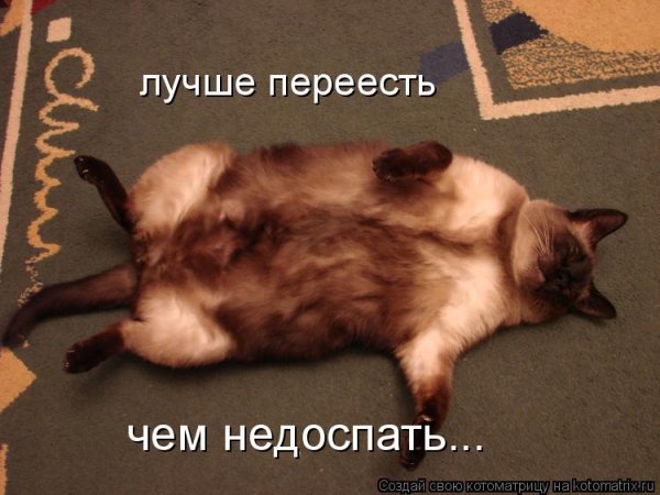 Праздник живота