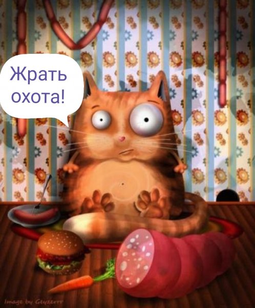 Котик обожрался