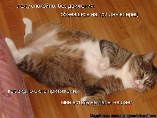 Объелся картинки