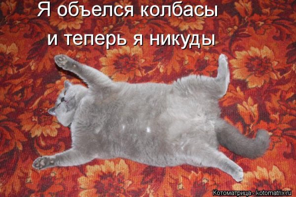 Я объелась