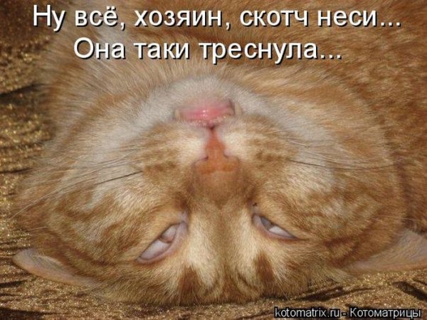 Объелся картинки смешные