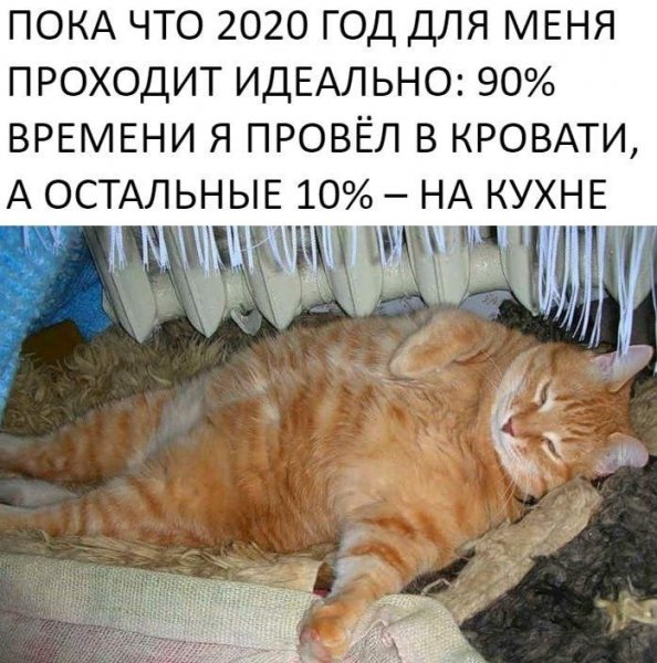 Обожралась и лежу