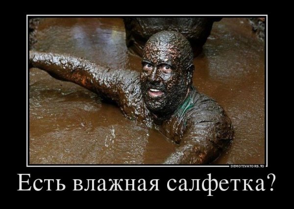 Шоколадные приколы