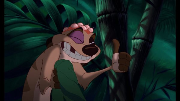 Timon Король Лев