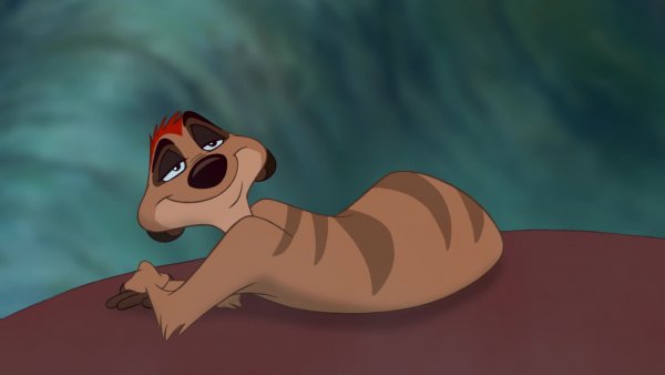 Король Лев Тимон