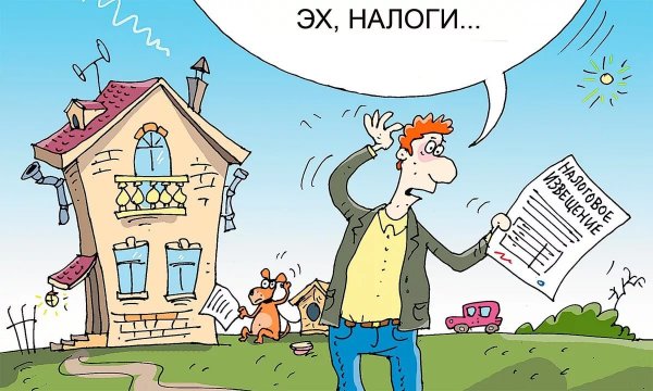 Налог на имущество карикатура