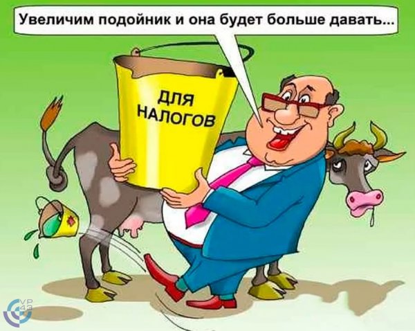Налоговая прикол