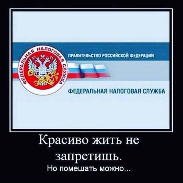 Налоговый инспектор карикатура