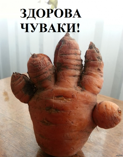 Смешные картинки здоровая