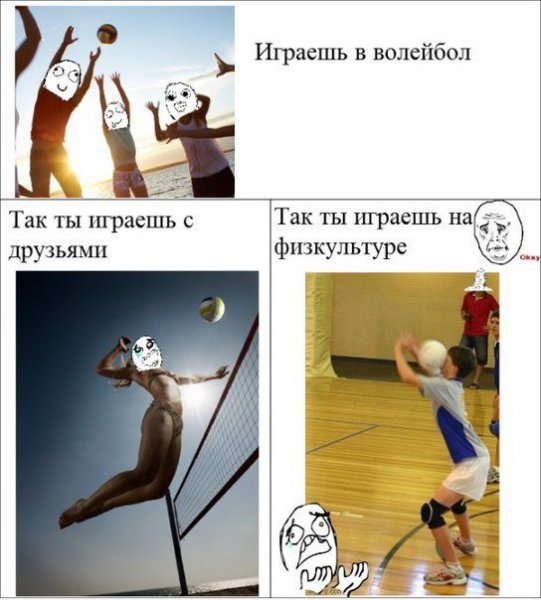 Приколы про физкультуру в школе