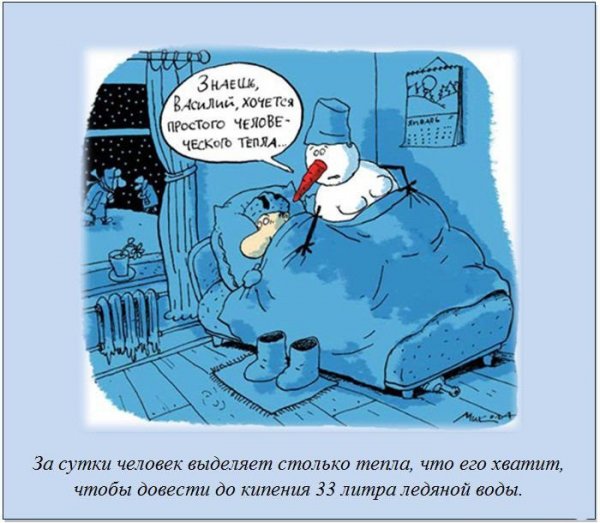 Собака на морозе