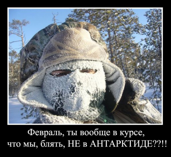 Холодно прикол