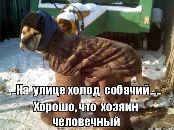 Сильный Мороз