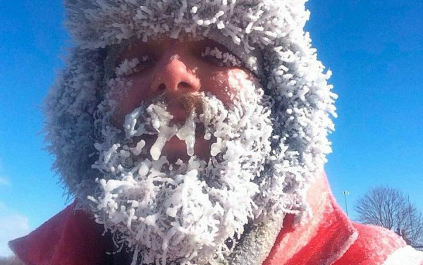 Пойдем домой Барсик на улице прохладно