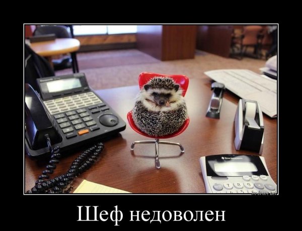 Шеф недоволен Мем