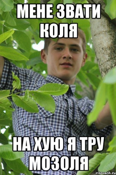 Коля мемы