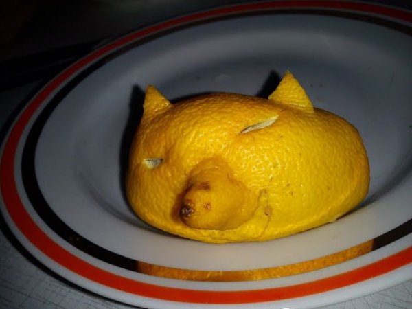 Смешной лимончик