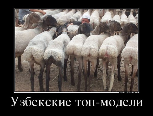 Смешной узбек