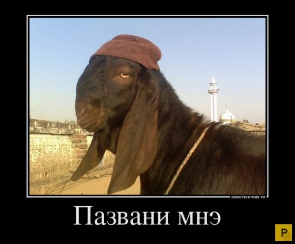 Смешной Узбекистан