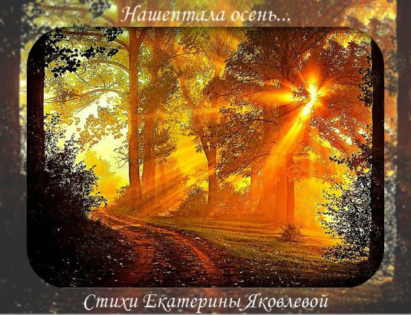 Философские шутки