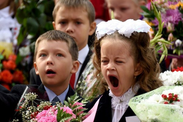 Школьники на линейке