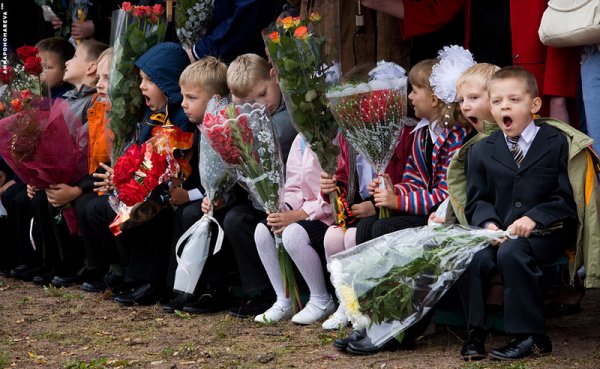 Смешные школьники 1 сентября