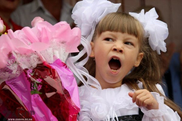 Беззубый первоклассник