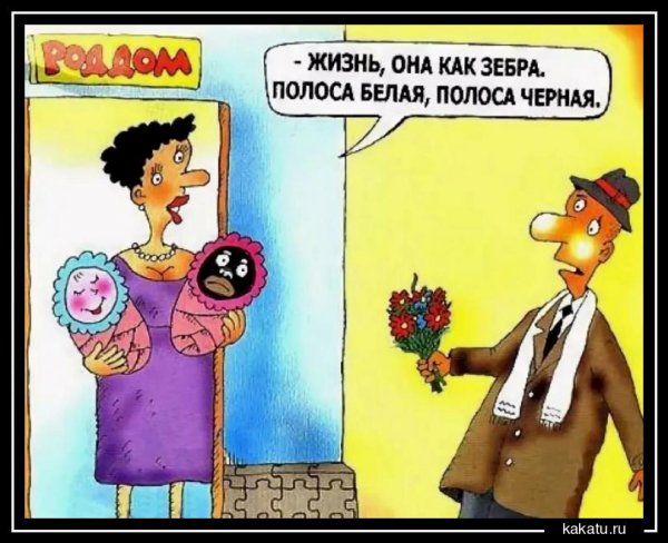 Роддом карикатура